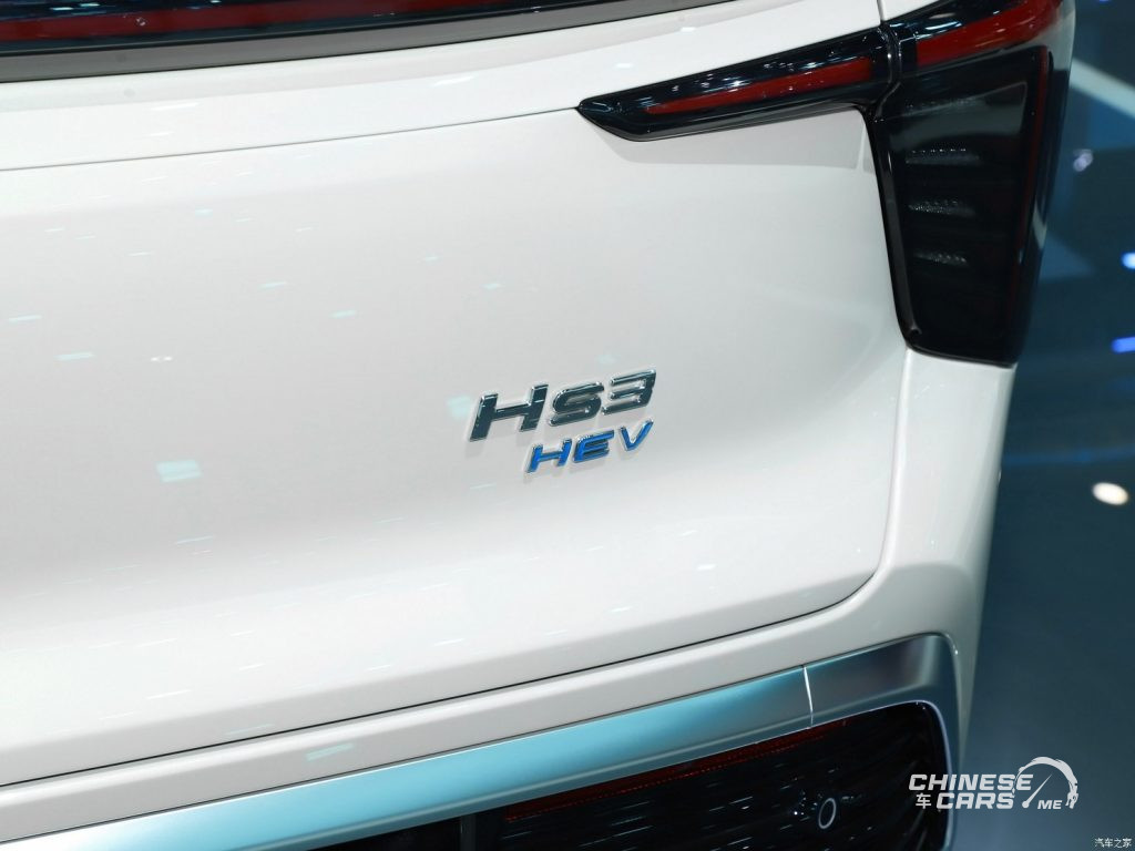 هونشي HS3, شبكة السيارات الصينية