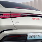 بي واي دي سيل 7 بريميوم 2025